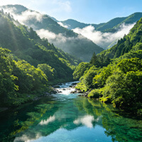 赵经理头像